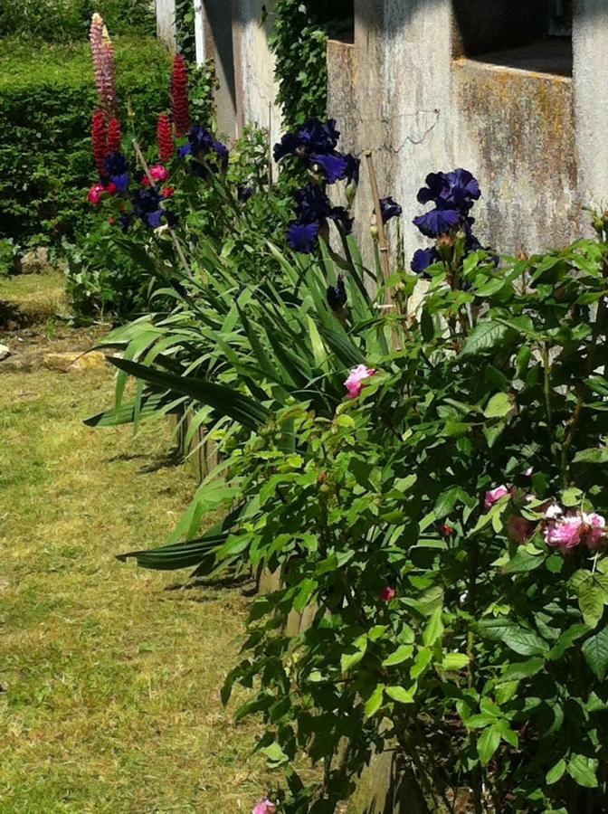 Ferme De Maillezais Bed & Breakfast L'Houmeau Bagian luar foto